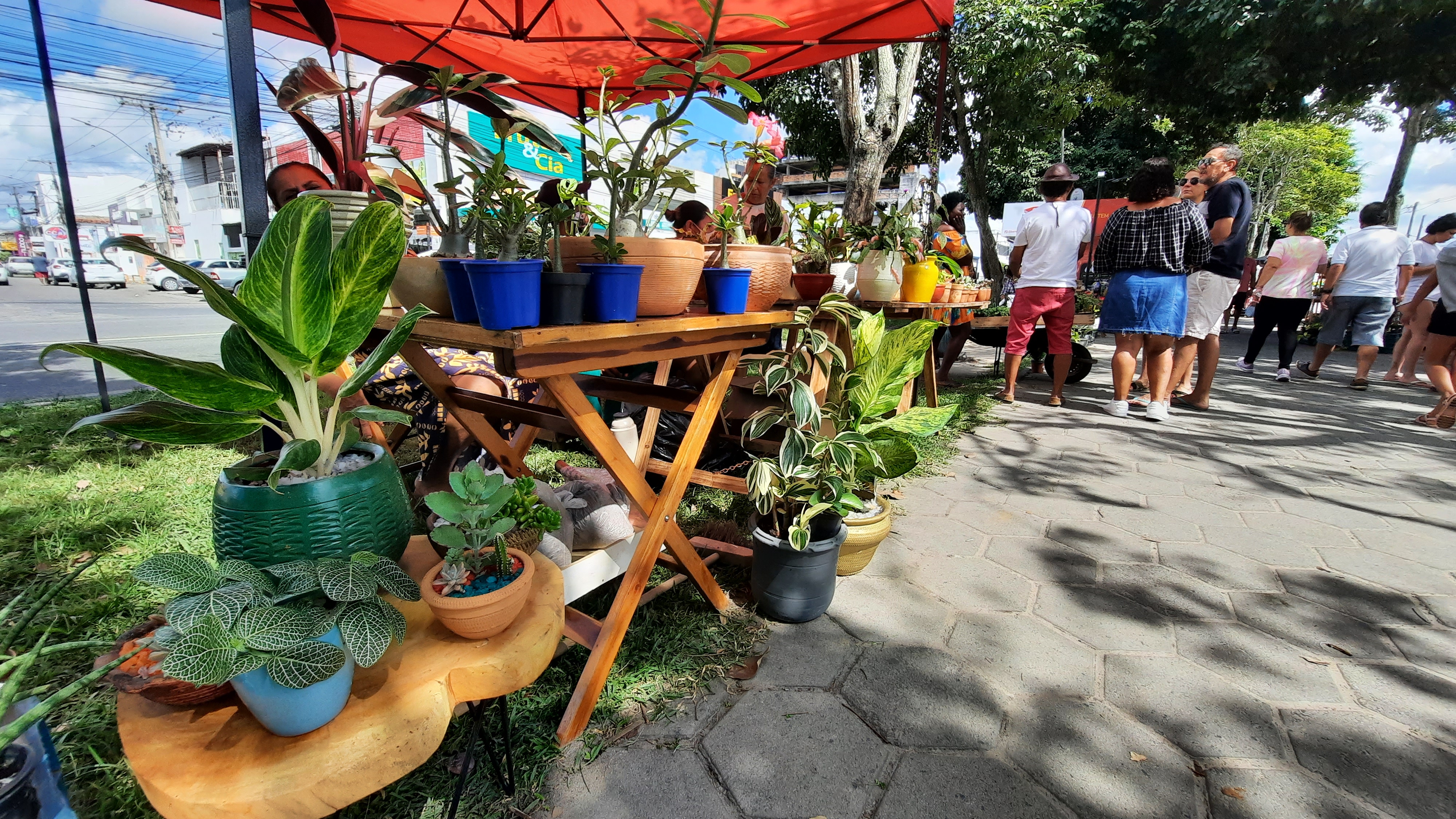 Foto: Reprodução/Prefeitura de Feira de Santana - BA